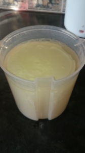 Liquid on top of homemade yogurt